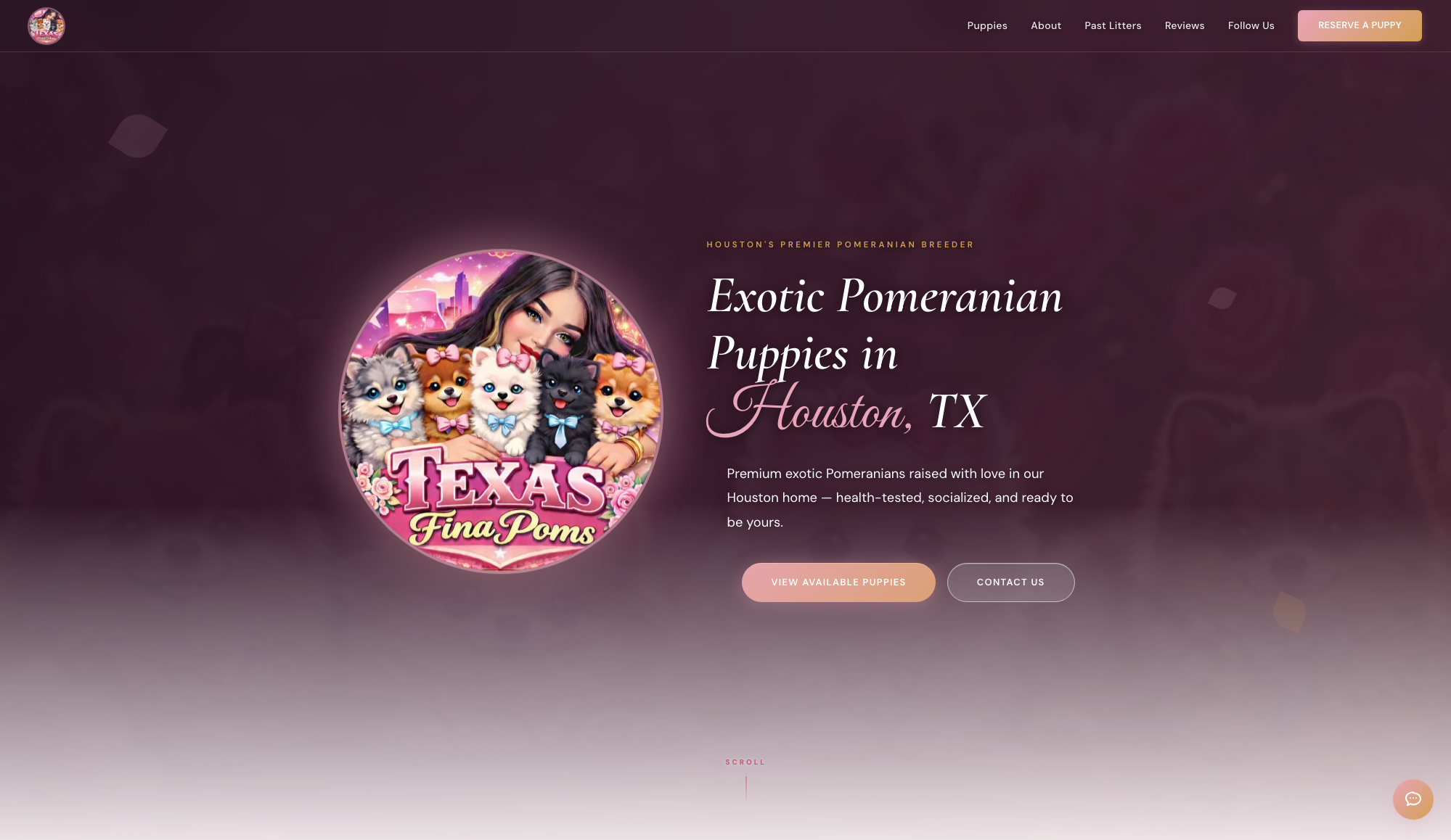 Texas Fina Poms website hero