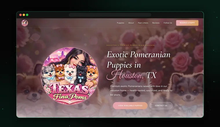 Texas Fina Poms