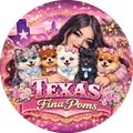 Texas Fina Poms
