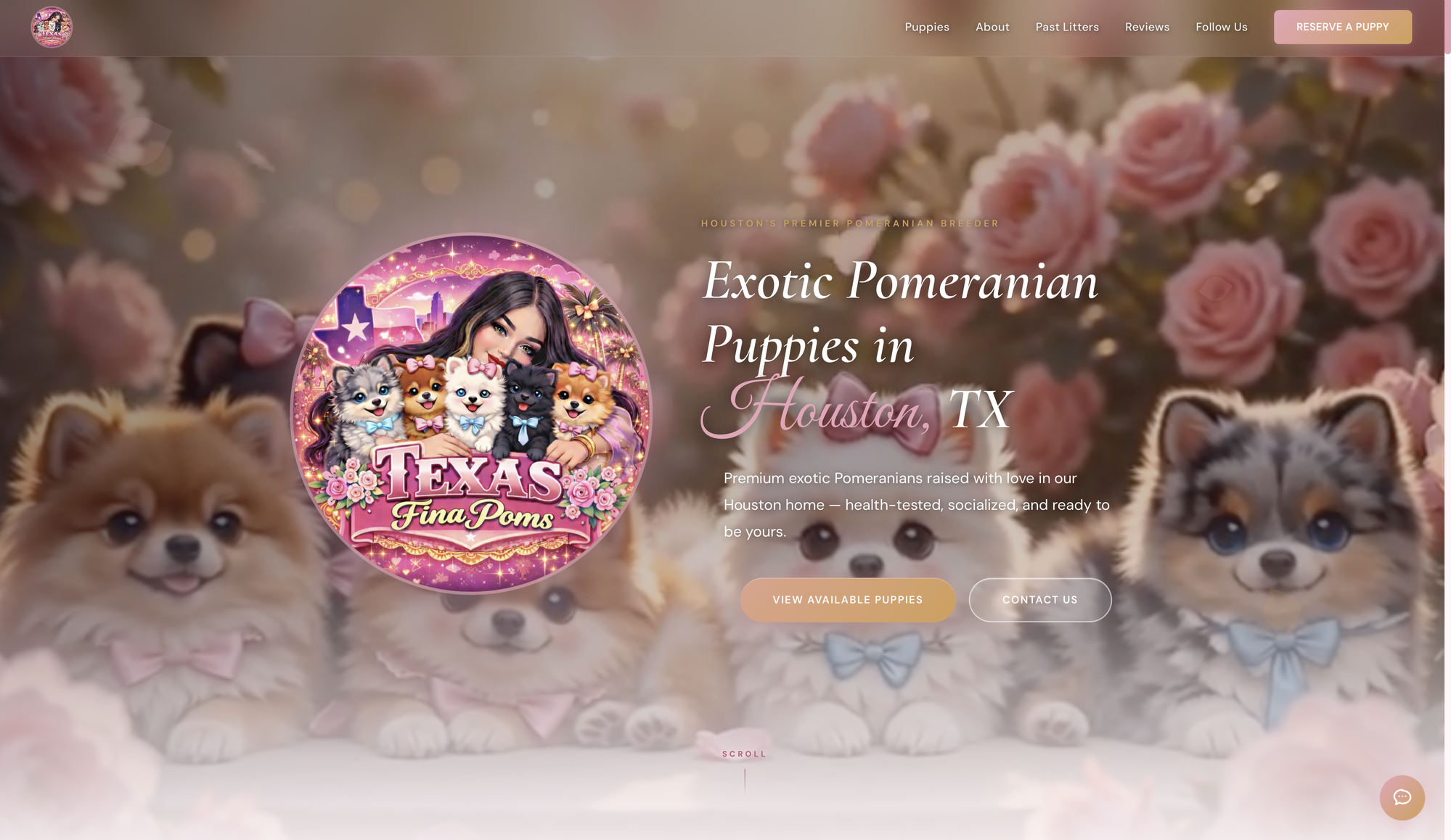 Texas Fina Poms